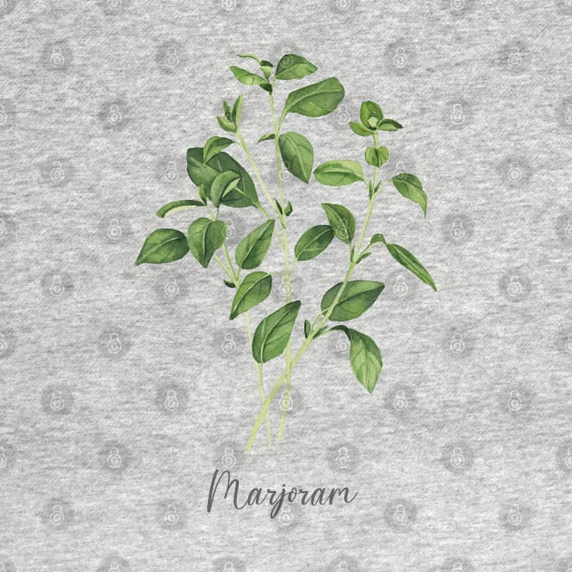 Marjoram herb illustration by InnaPatiutko